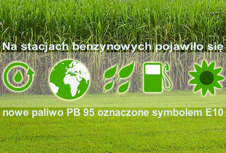 grafika przedstawia pole trzciny cukrowej oraz ikony związane z ekologią