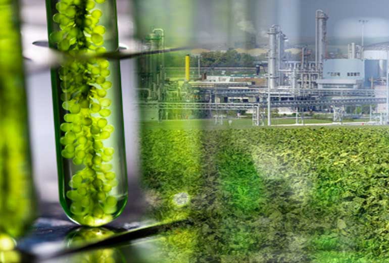 grafika przedstawia próbówkę laboratoryjna i fabrykę biopaliw